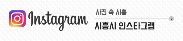 시흥시 인스타그램