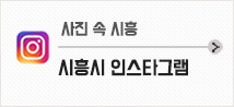시흥시 인스타그램